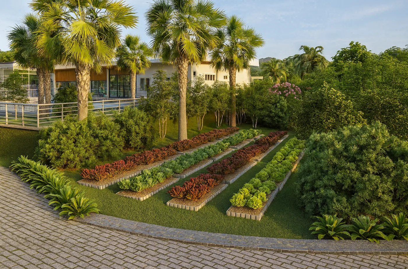 Render da horta comunitária
